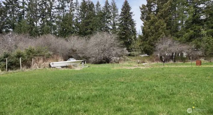 View from side of yard.