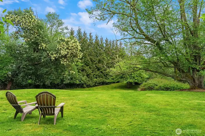This is a favorite spot with a view down to the old apple tree, which produces loads of delicious fruit.