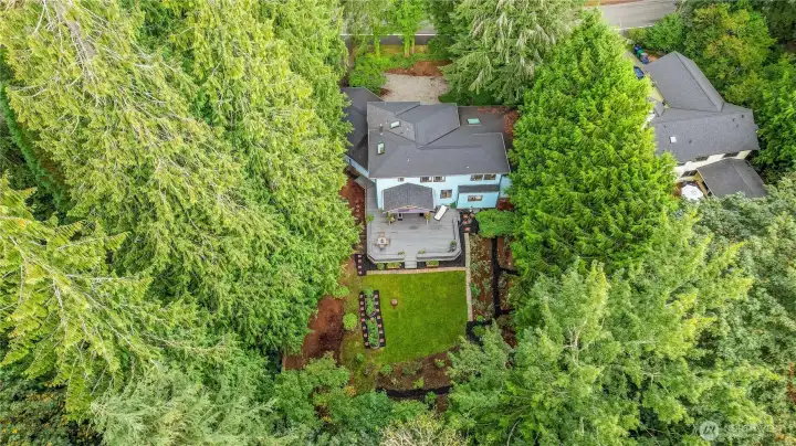 Beautiful yard and property