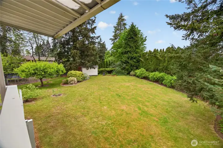 Perched high above, watch all the fun activities happening below. Volleyball anyone? Blueberry bushes line the back flower bed to the right.