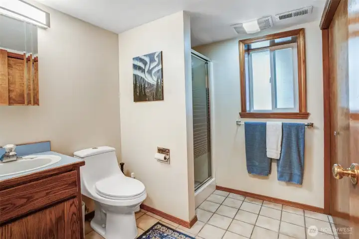 3/4 bath - lower level 3/4 bath - lower level