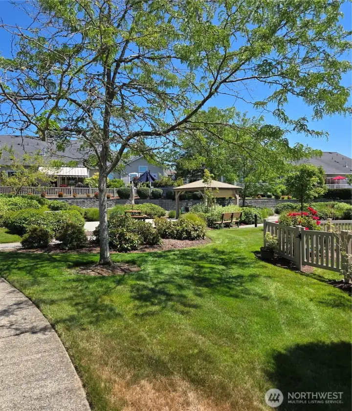 Common Area Gazebos Homeowners can use or reserve (behind units across street( Common Area Gazebos Homeowners can use or reserve (behind units across street(