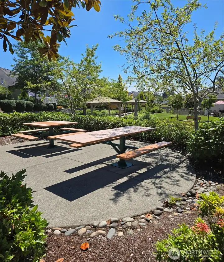 Common area picnic tables (behind units across street) Common area picnic tables (behind units across street)
