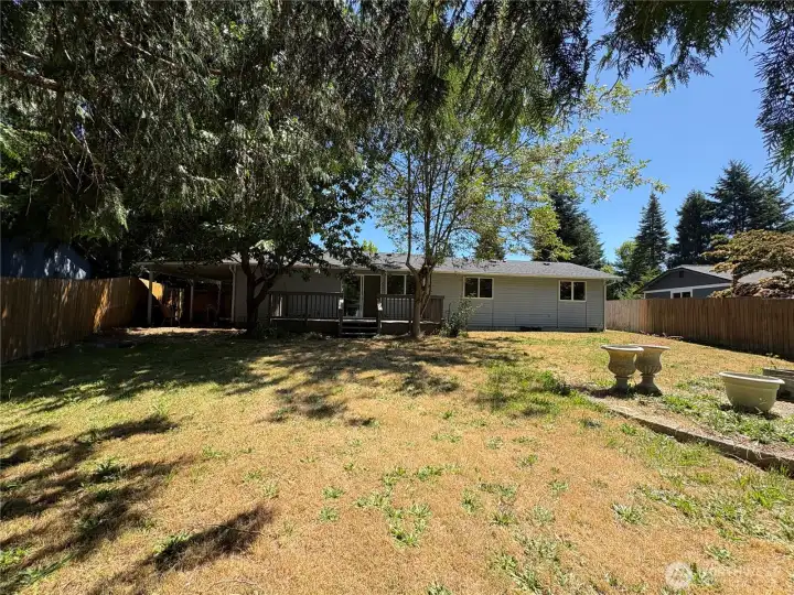 Spacious backyard with gates on both sides Spacious backyard with gates on both sides