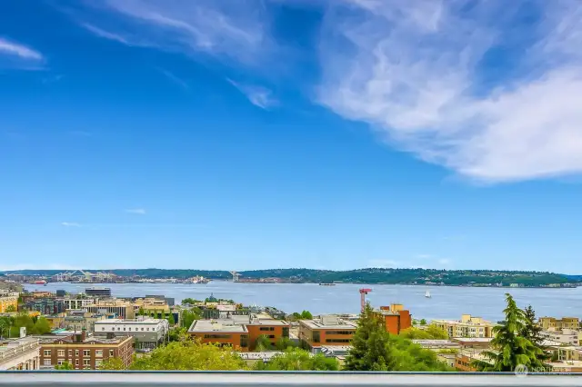 Rooftop View Deck