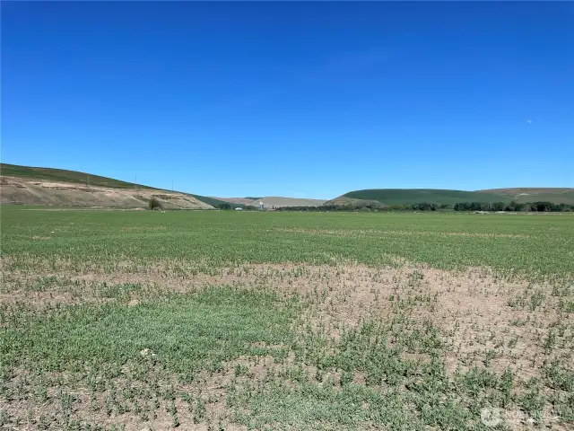 Acreage