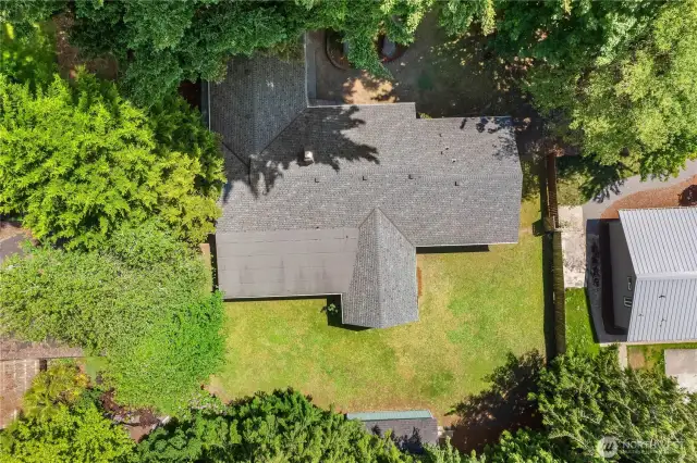 BIRDS EYE