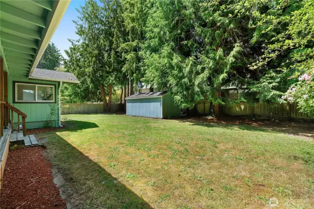 LARGE SHED IN BACK YARD