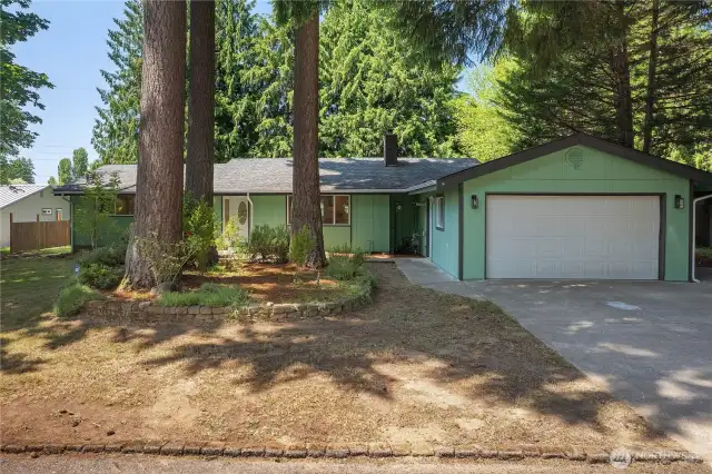 FRONT YARD