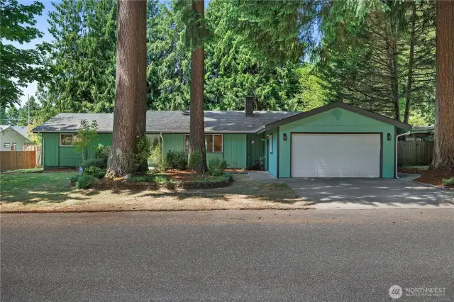 WELCOME TO THE WOODSMUIR NEIGHBORHOOD!