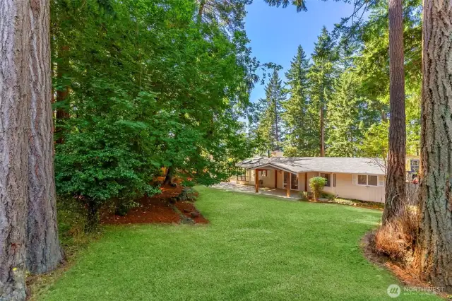 Plenty of yard space, mostly level and terraced