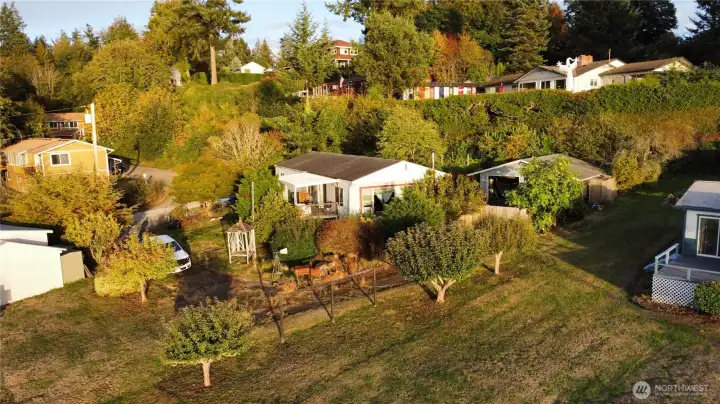Overhead view of the 12,197 sq ft lot.