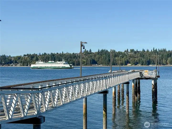 Enjoy the ever-changing views of Rich Passage, ferry boat crossings, sailboats, and or maybe fish off of the dock.