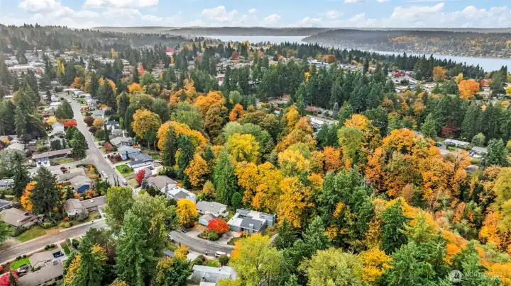 Just minutes to Lake Washington, Newport Elementary, Tyee Middle and Newport High School!