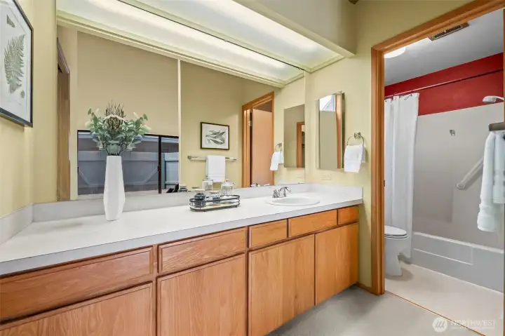 Primary bath- lots of counter space here.