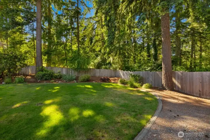 Wonderful large tree surrounded backyard Wonderful large tree surrounded backyard
