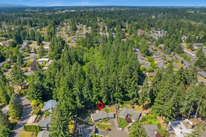 House located at the tree line of Thelma Gilmer park. Fence gate access in backyard. House located at the tree line of Thelma Gilmer park. Fence gate access in backyard.