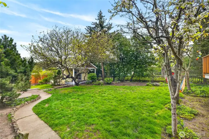 Lush backyard with view of guesthouse