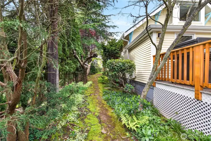 View of sideyard on south side of main house