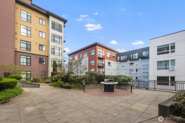 Interior Courtyard + BBQ Space