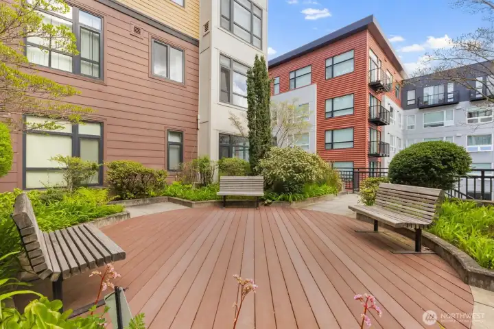 Interior Courtyard + BBQ Space
