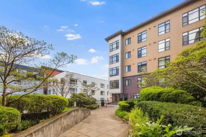 Interior Courtyard + BBQ Space