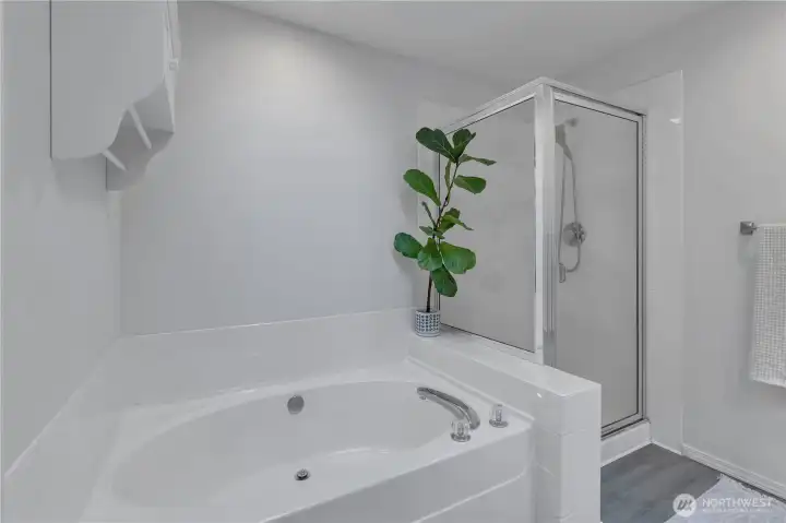 Garden tub and shower just behind vanity.
