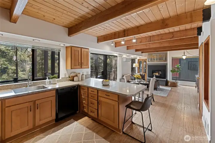 View from kitchen to family room