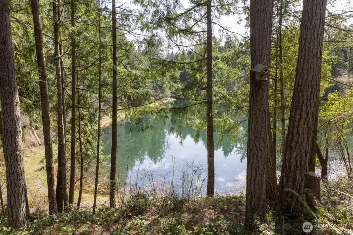 Serene and nestled in the woods