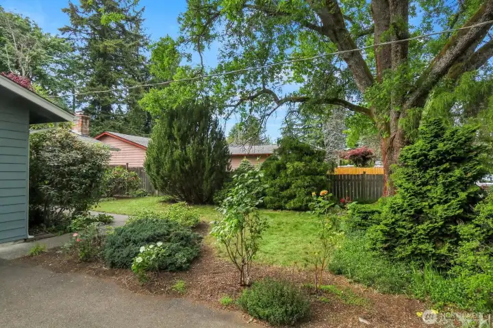 Front Grounds