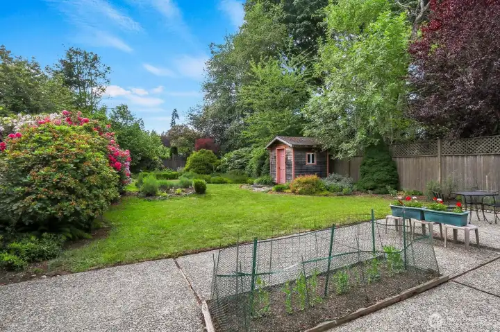 Rear Gardens