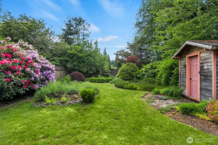 Rear Gardens & Shed