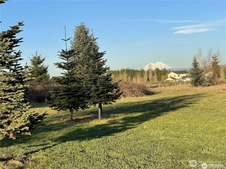 Stunning Mount Rainier View from most locations on the property.