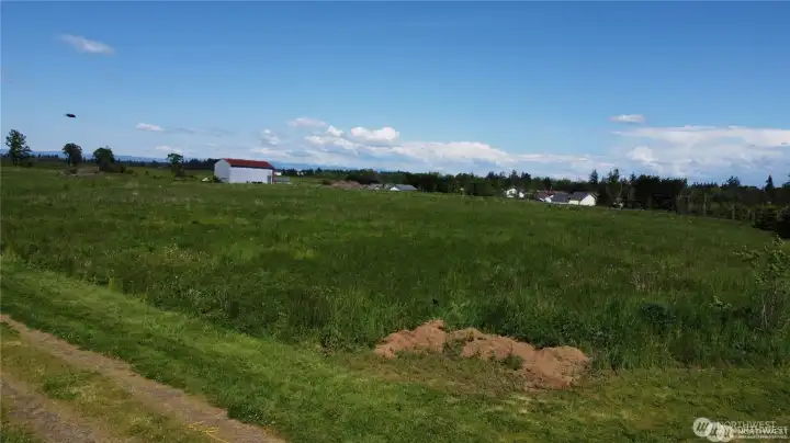 Mostly level with a slight slope - so easy to work!