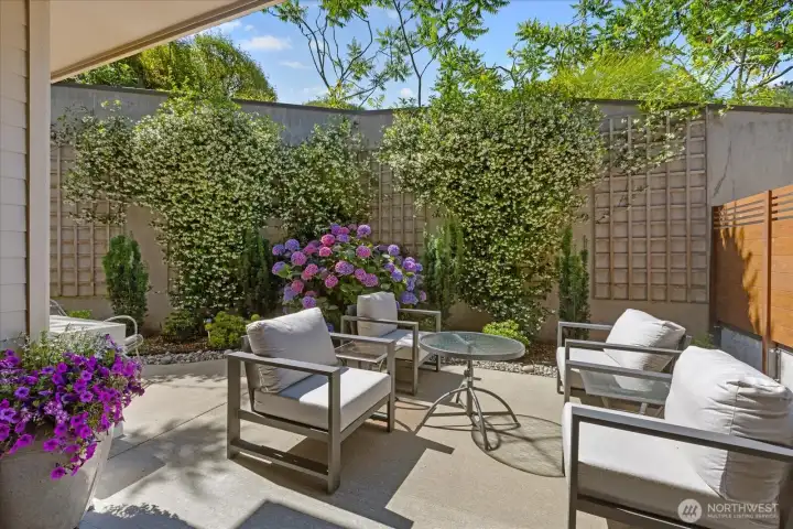 And BONUS, BONUS . . .this lovely terrace . . . And BONUS, BONUS . . .this lovely terrace . . .