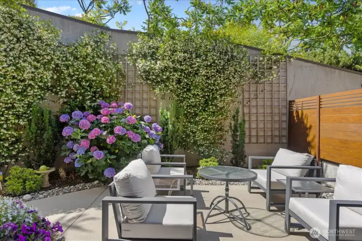 Blooming jasmine, spilling over the trellis . . Blooming jasmine, spilling over the trellis . .