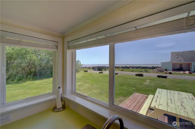 Kitchen Windows