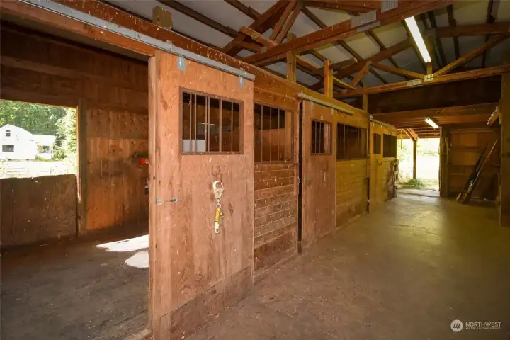 Three matted stalls