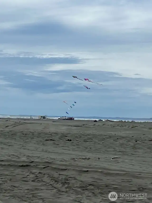 Tons of activities await at nearby Copalis Beach: beachcombing, kite flying, clamming, fishing, hiking, kayaking, horseback riding, and more!