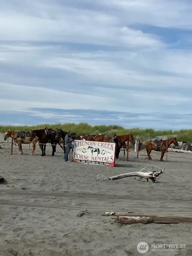 Tons of activities await at nearby Copalis Beach: beachcombing, kite flying, clamming, fishing, hiking, kayaking, horseback riding, and more!