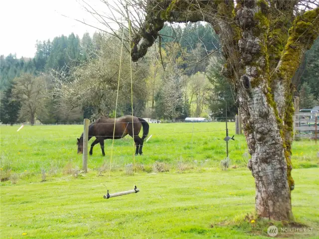 country life