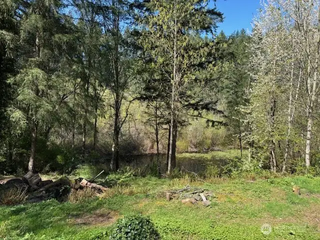 back yard