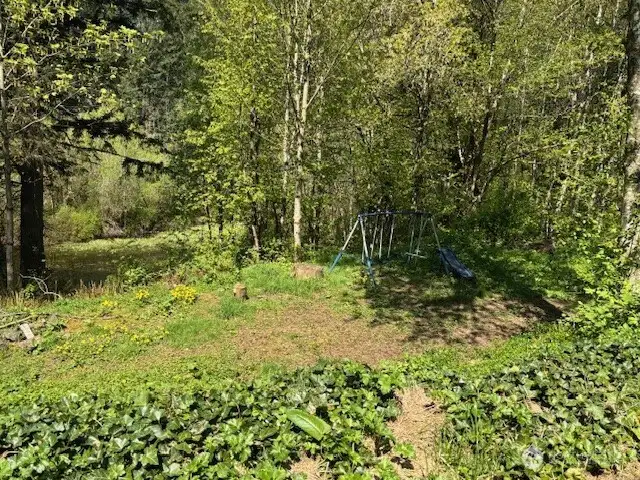 back yard