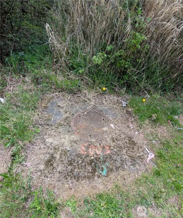 Sewer infrastructure on Trosper Road