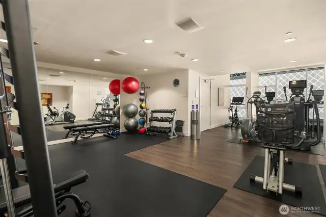 Spacious light-filled fitness room