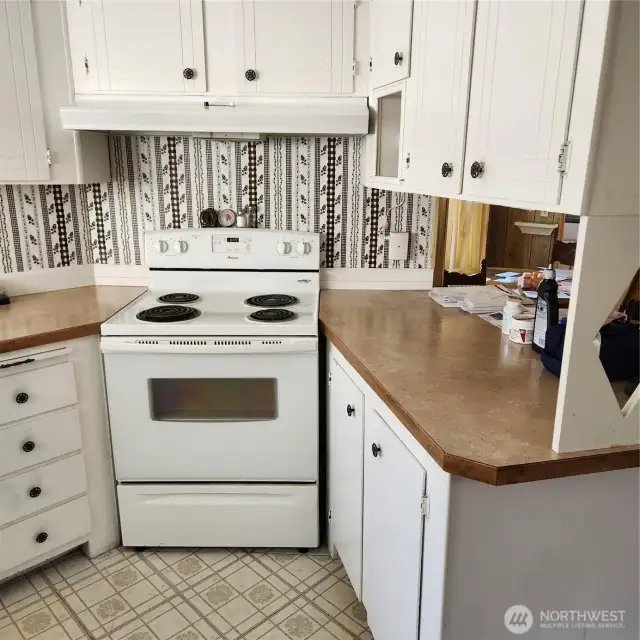 Electric Range