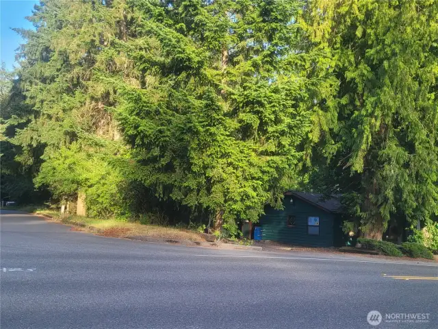 Great corner lot!