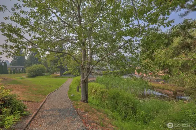 Wandering Creek community common area: Trail, greenbelt, pond & creek just down the street from the house, takes you to the lake & clubhouse.