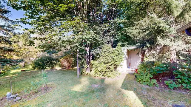 Private and wooded yard features a versatile outbuilding—ideal for storage, gardening tools, or workshop use.