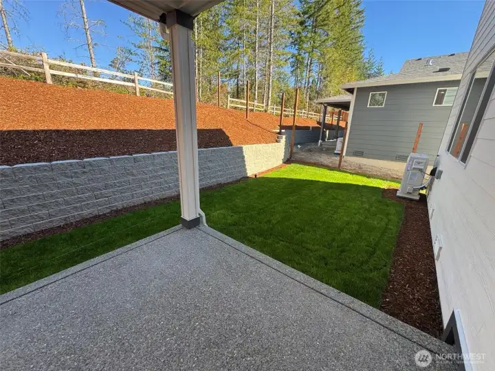 Back patio and yard